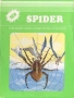 Atari  2600&nbsp; - &nbsp;Spider_Unknown